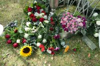 ein Bild aus dem Album